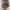 Motel Rocks Y2K Casual Mini skirt Wanita navy gray photo 4