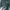 Dickies Luxury Gorpcore Windbreaker Pria green photo 5