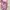 Streetwear Swimwear Kids multicolor photo 1
