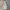 Marmot Sportswear Casual Track jacket Pria white gray photo 2