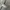 Marmot Sportswear Casual Track jacket Pria white gray photo 7