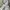 Marmot Sportswear Casual Track jacket Pria white gray photo 3