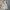 Marmot Sportswear Casual Track jacket Pria white gray photo 1