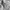 Marmot Sportswear Casual Track jacket Pria white gray photo 4