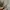 Vintage Streetwear Pria white photo 2