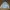 Millet Gorpcore Sportswear Puffer jacket Pria cream photo 1