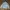 Millet Gorpcore Sportswear Puffer Jacket Pria Cream