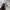 Millet Gorpcore Sportswear Puffer jacket Pria cream photo 4