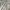 Millet Gorpcore Sportswear Puffer jacket Pria cream photo 2