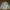 Millet Gorpcore Sportswear Puffer jacket Pria cream photo 6