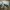 Millet Gorpcore Sportswear Puffer jacket Pria cream photo 5