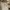 Dickies Casual pants Pria tan photo 5