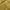 Crocodile Vintage Streetwear Polo shirt Pria gold photo 2
