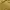 Crocodile Vintage Streetwear Polo Shirt Pria Gold