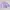 Yuan Streetwear Casual Crop top Wanita purple photo 4