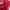 Adidas Minimalist Hoody Pria red photo 5