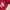Adidas Minimalist Hoody Pria red photo 2