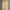 Covernat Streetwear Skater Casual Pants Pria Tan