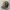 Topi Realtree Vintage Alfred Duplantis Trucktor Service OC photo 2