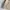 Casual Harrington jacket Pria cream photo 2