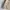 Casual Harrington Jacket Pria Cream