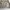 Casual Harrington jacket Pria cream photo 5