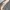 Casual Harrington jacket Pria cream photo 7