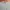 Tommy Hilfiger Minimalist Casual Sweater Pria gray photo 4