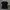 thisisneverthat Streetwear T-shirt Pria black photo 4