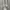 Le Coq Sportif Streetwear Hoody Pria gray photo 2