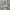 Le Coq Sportif Streetwear Hoody Pria Gray