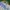 Nike Vintage Sportswear Windbreaker Pria white photo 3