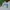 Nike Vintage Sportswear Windbreaker Pria white photo 6