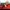 Nike Vintage Sportswear Fur coat Pria red photo 7
