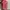 Casual Midi Dress Wanita Pink