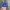 Oakley Vintage Y2K Hat Pria blue photo 3