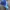 Oakley Vintage Y2K Hat Pria blue photo 2