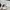 Adidas Skater Casual Boots Pria white green photo 2