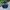 Adidas Vintage Sportswear Track jacket Pria green black photo 1