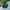 Adidas Vintage Sportswear Track jacket Pria green black photo 6