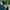Adidas Vintage Sportswear Track jacket Pria green black photo 5