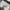 Carhartt Streetwear Indie Hoody Pria gray photo 3