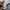 Carhartt Streetwear Indie Hoody Pria gray photo 5
