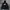 Nike Streetwear Sportswear Hoody Pria black photo 1