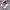 Sportswear Sneakers Wanita white pink photo 1