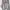 Ellesse Streetwear Sweater Pria gray photo 1