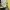 Nike Streetwear Sportswear Hoody Pria yellow photo 6
