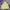 Nike Streetwear Sportswear Hoody Pria yellow photo 1