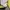 Nike Streetwear Sportswear Hoody Pria yellow photo 5
