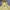 Nike Streetwear Sportswear Hoody Pria yellow photo 2